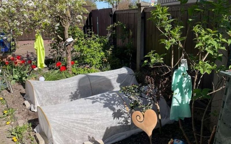 Familienidylle trifft Komfort – Ihr neues Zuhause in Reilingen-4