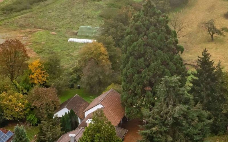 Haus mit 2 Wohneinheiten und riesigem Grundstück in traumhafter Ortsrandlage in Rheimünster-7