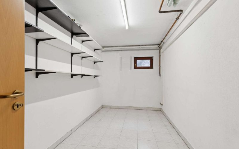 ImmobilienExpert_Karlsdorf-Neuthard_Dachgechoss19