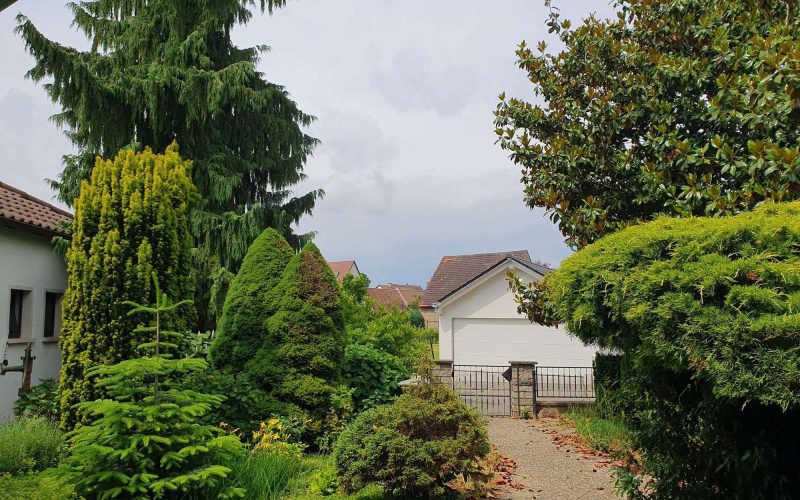 ÎmmobilienExpert_Römerberg_freistehendes-Einfamlilenhaus18